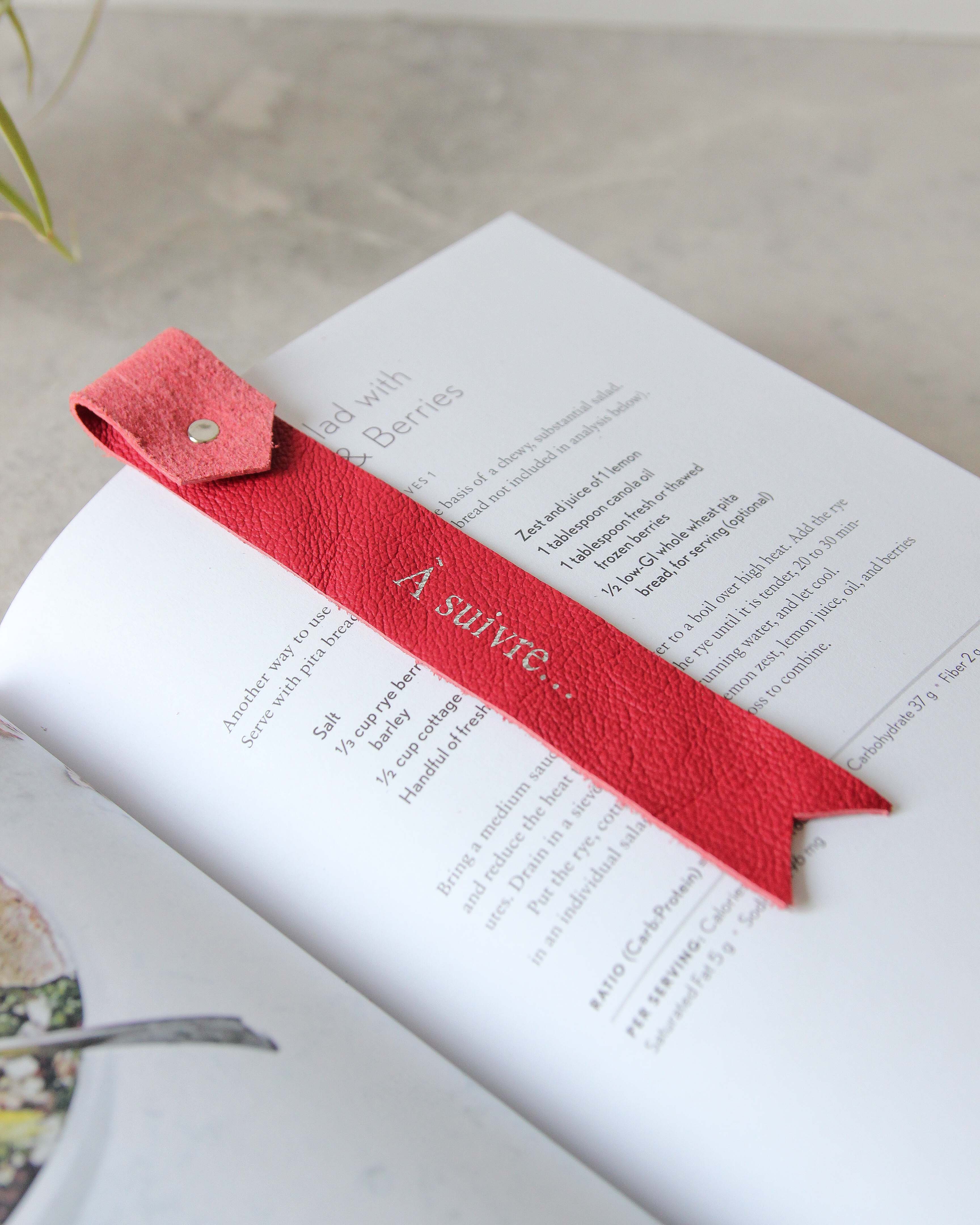 Bookmark_Red