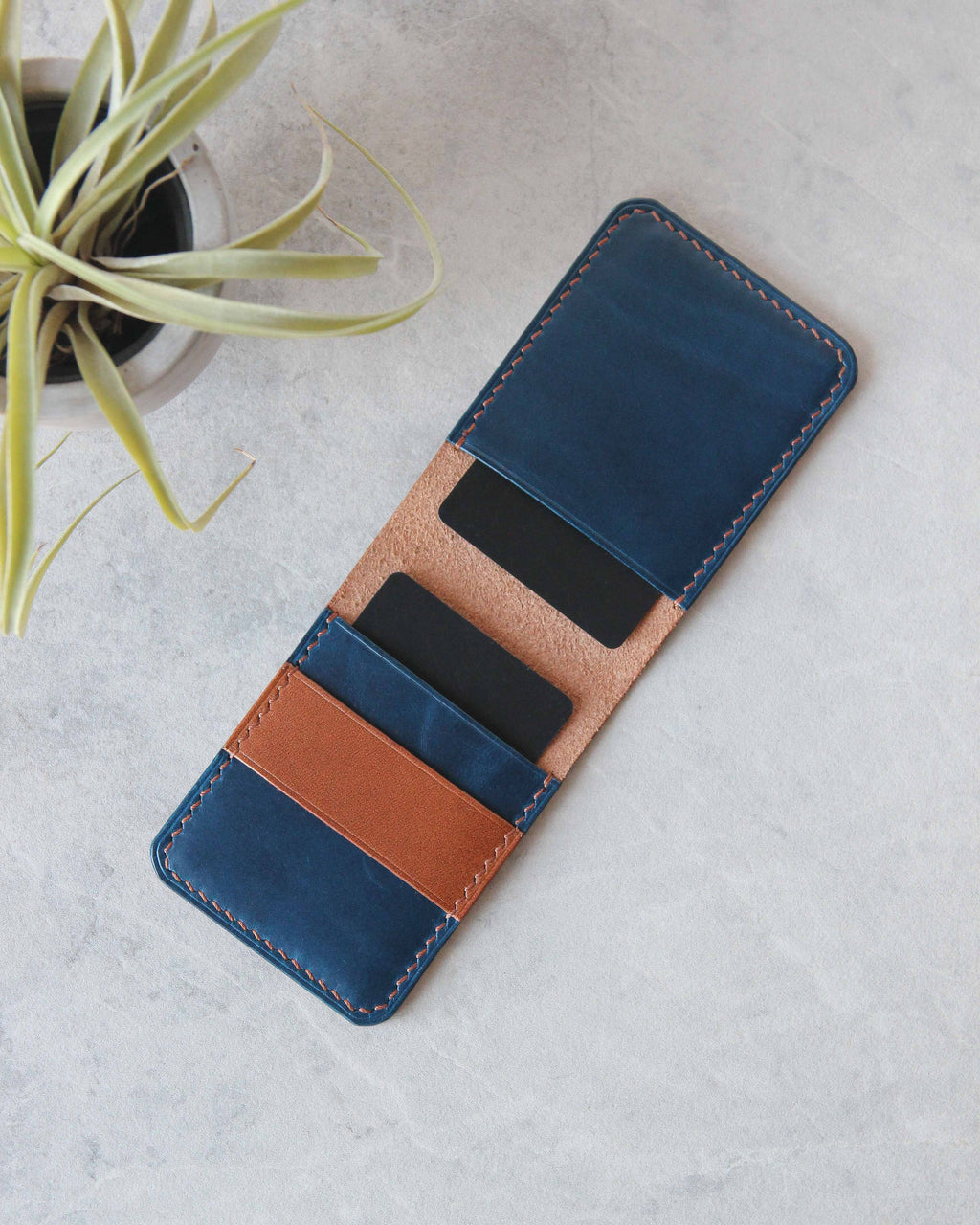 Cardholder, 4 Slots, Tan and Blue, Top View