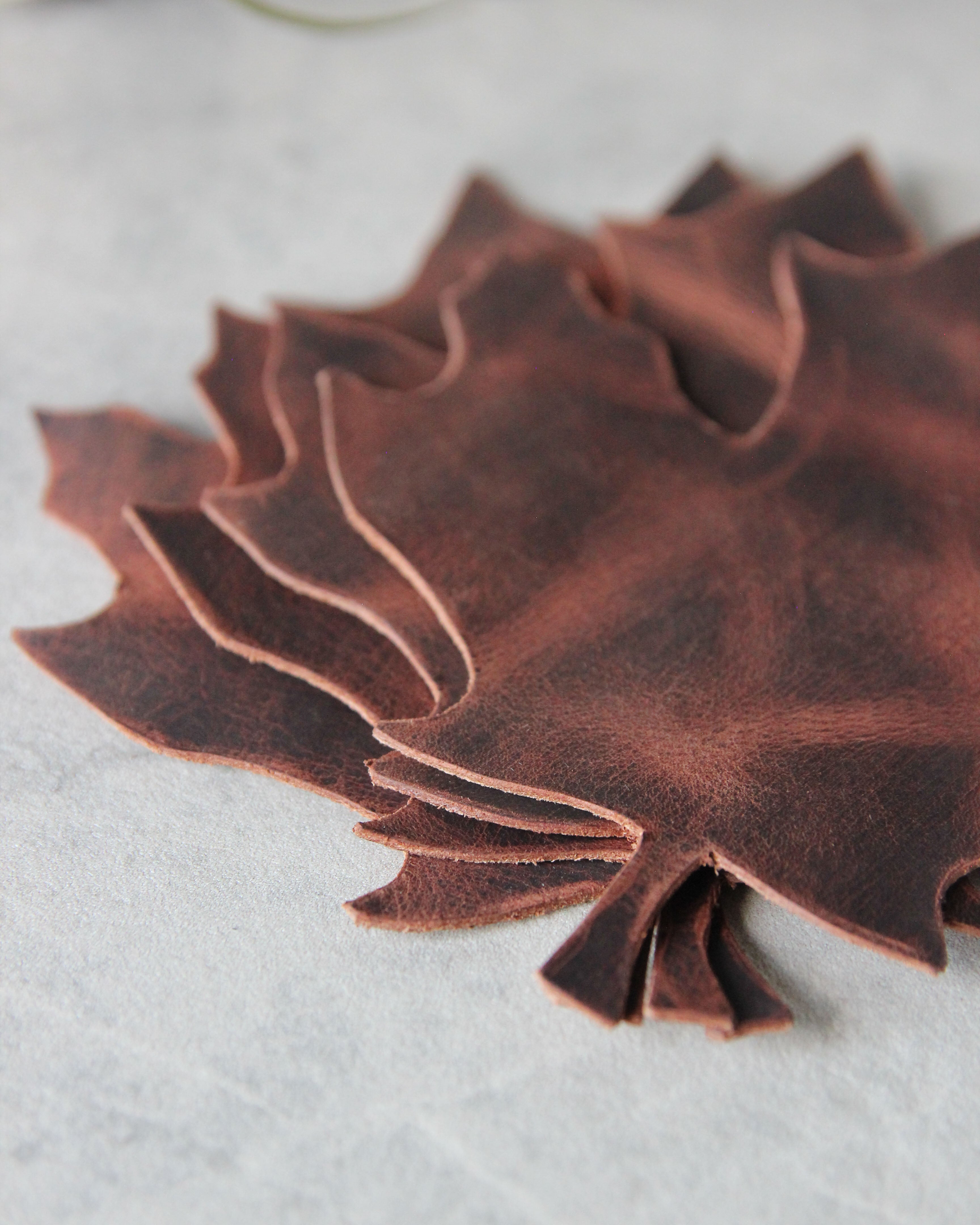 Leaf Leather Coasters, Brown, Side View