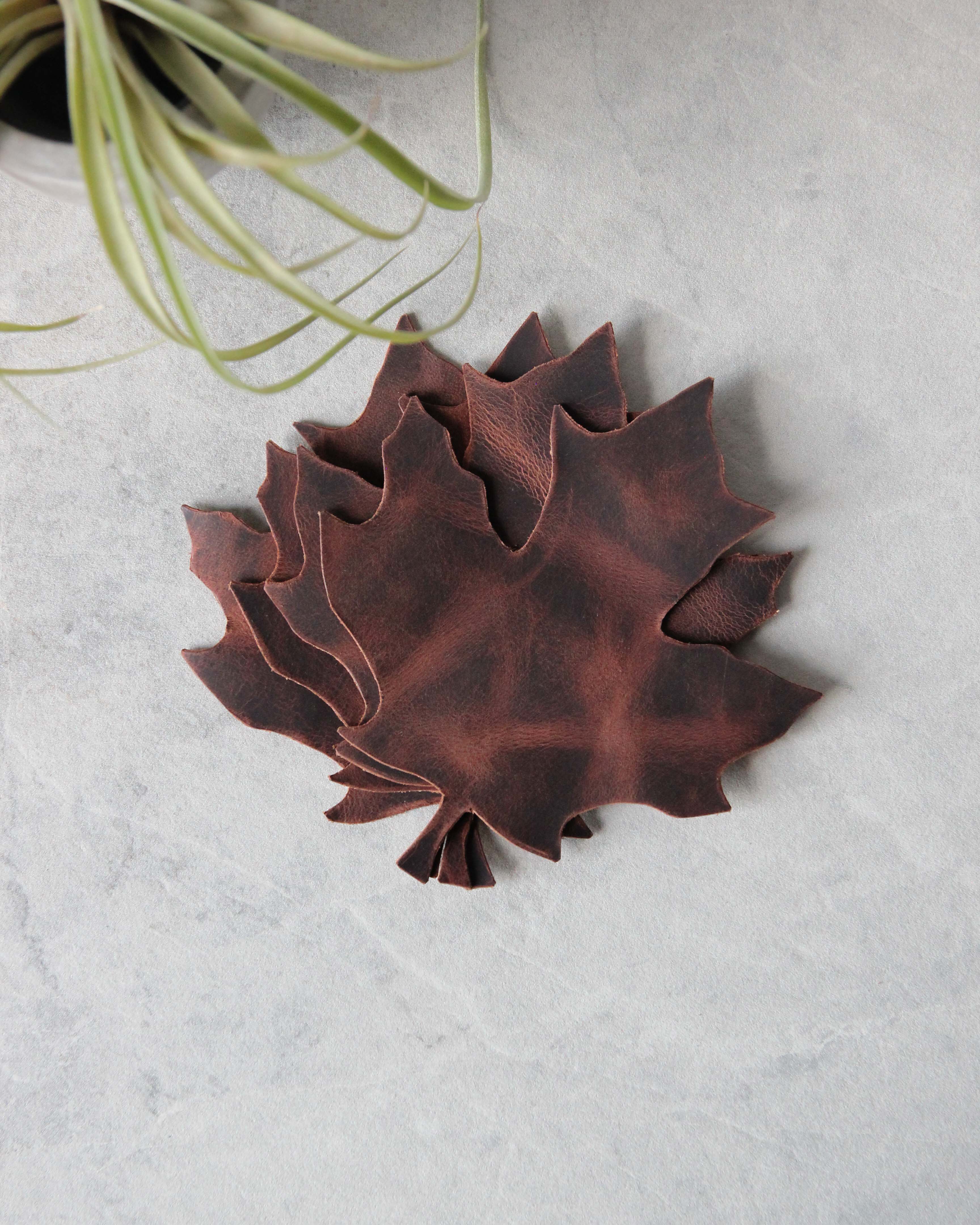 Leaf Leather Coasters, Brown, Top View