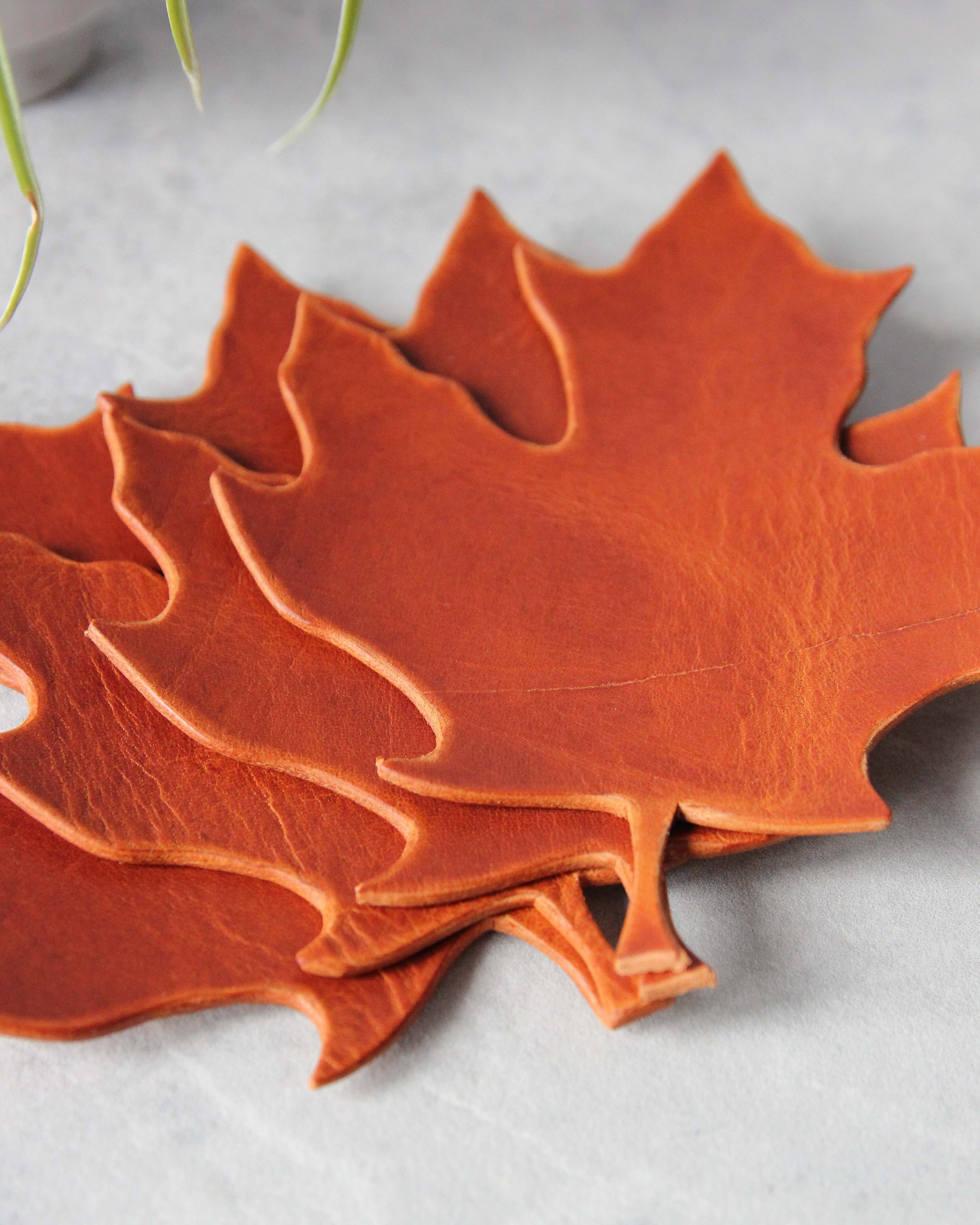 LeafCoasters_Orange_Side