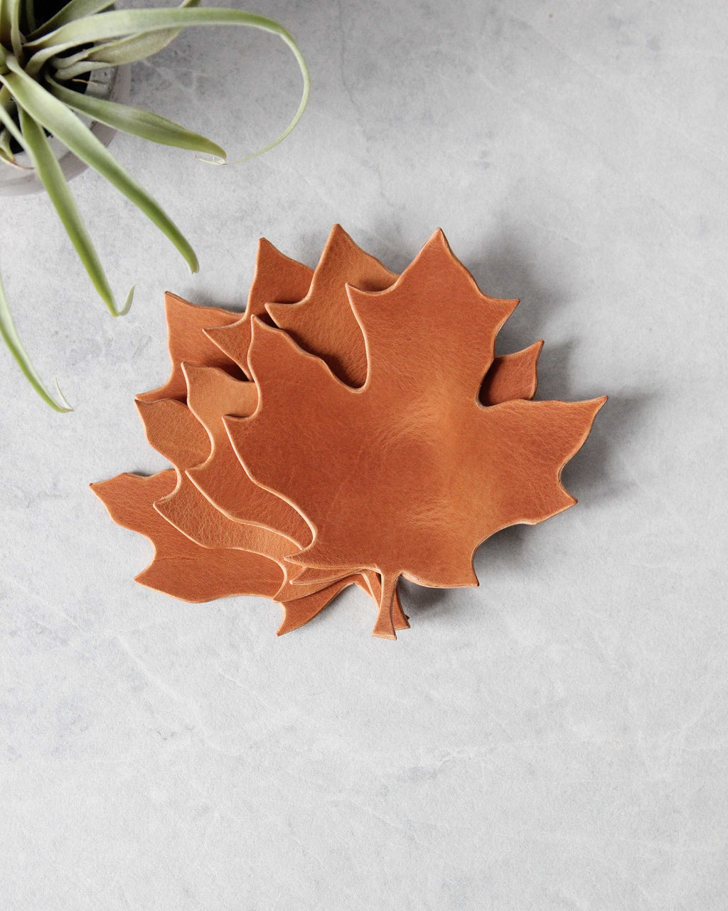 Leaf Leather Coasters, Natural, Top View